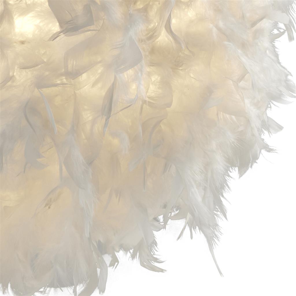 Feather
