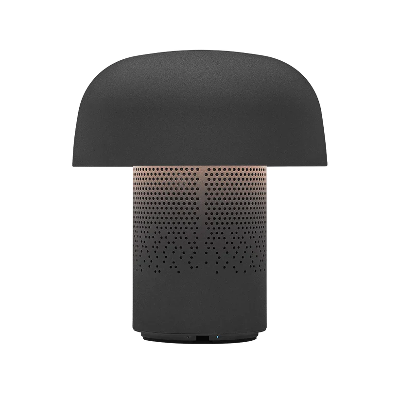 Sensa Play Sound by JBL Matt Svartur