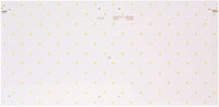LEE 500x250mm 5700K