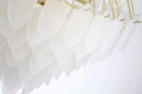 Feather 6